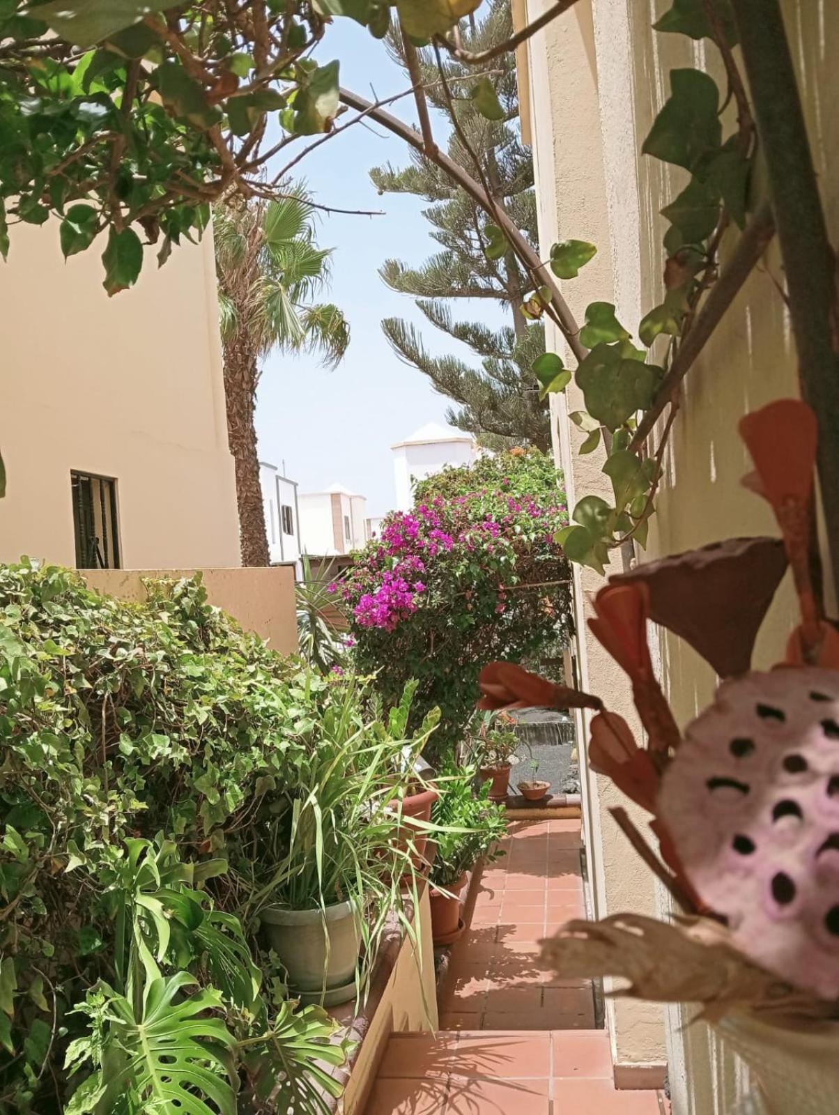 Casa Noray 18 Apartment Playa Honda  Exterior photo
